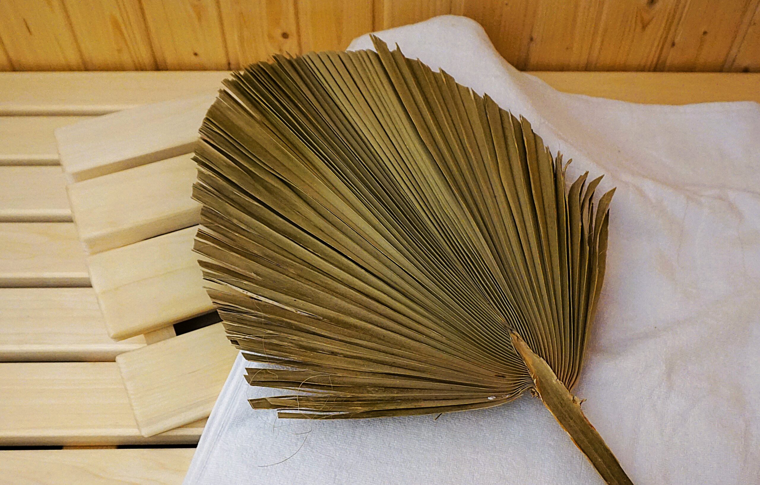 Palmwedel klein
